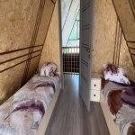 Kirayə (günlük) 15 otaqlı Bağ evi Quba 18