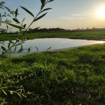 Satılır 3 otaqlı Bağ evi Zaqatala 29