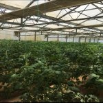 Продажа Объект, Туркян, Хязяр район 32