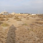 Продажа Участок, Яшма баглары район 3