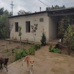 Satılır 5 otaqlı Həyət evi/villa, Şüvəlan, Xəzər rayonu 9