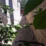 Продажа 3 комнат Дома/Виллы Хырдалан 16
