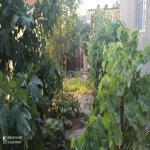 Satılır 10 otaqlı Həyət evi/villa Sumqayıt 3