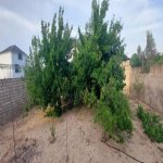 Satılır 3 otaqlı Bağ evi, Goradil, Abşeron rayonu 11