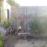 Satılır 3 otaqlı Bağ evi, Pirşağı qəs., Sabunçu rayonu 4