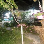 Kirayə (günlük) 3 otaqlı Həyət evi/villa Qax 17