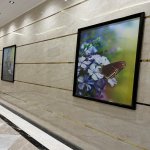 Kirayə (aylıq) 2 otaqlı Yeni Tikili, Nəriman Nərimanov metrosu, Nərimanov rayonu 18