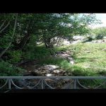 Kirayə (günlük) 3 otaqlı Bağ evi Quba 12