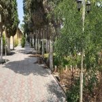 Kirayə (aylıq) Obyekt, Xətai rayonu 24