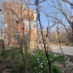 Satılır 5 otaqlı Həyət evi/villa, Masazır, Abşeron rayonu 25