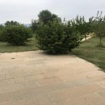 Satılır 3 otaqlı Həyət evi/villa Qəbələ 8