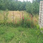Kirayə (aylıq) 4 otaqlı Həyət evi/villa Qusar 16