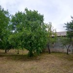 Satılır 3 otaqlı Həyət evi/villa İsmayıllı 15