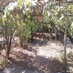 Satılır 8 otaqlı Həyət evi/villa Ağsu 29