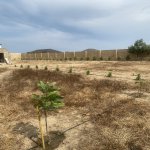 Продажа Участок, пос. Нардаран, Sea Breeze, Сабунчу район 6