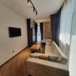 Kirayə (aylıq) 1 otaqlı Yeni Tikili, 28 May metrosu, Nəsimi rayonu 3