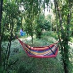 Kirayə (günlük) 3 otaqlı Həyət evi/villa Qəbələ 3