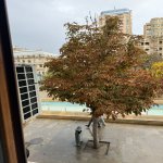 Аренда Объект, Nizami метро, Ясамал район 9