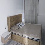 Kirayə (aylıq) 2 otaqlı Yeni Tikili, 28 May metrosu, Nəsimi rayonu 4
