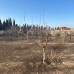 Satılır Torpaq, Novxanı, Abşeron rayonu 7