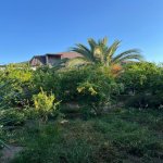 Kirayə (aylıq) 5 otaqlı Bağ evi, Neftçilər metrosu, Sabunçu rayonu 23