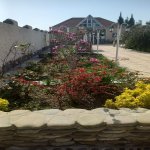 Kirayə (aylıq) 3 otaqlı Bağ evi, Abşeron rayonu 54