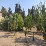 Satılır Torpaq, Novxanı, Abşeron rayonu 2