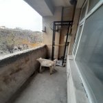 Kirayə (aylıq) 4 otaqlı Ofis, Nizami metrosu, Nizami Moll, Yasamal rayonu 22