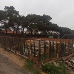 Satılır Torpaq, Maştağa qəs., Sabunçu rayonu 9
