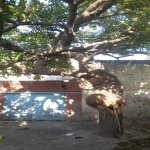 Satılır 4 otaqlı Həyət evi/villa, Zabrat qəs., Sabunçu rayonu 14