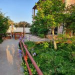 Kirayə (aylıq) 5 otaqlı Bağ evi, Mərdəkan, Xəzər rayonu 13