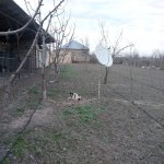 Аренда 3 комнатная Дома/Виллы Губа 2