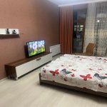 Kirayə (aylıq) 2 otaqlı Yeni Tikili, Xətai metrosu, Xətai rayonu 9