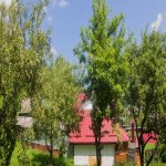 Kirayə (günlük) 3 otaqlı Həyət evi/villa Quba 6