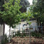 Satılır 6 otaqlı Həyət evi/villa, Bakıxanov qəs., Sabunçu rayonu 7