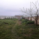 Satılır Torpaq, Saray, Abşeron rayonu 6