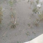 Satılır 2 otaqlı Yeni Tikili Lənkəran 23