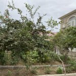Продажа 6 комнатная Дома/Виллы, м. Короглу метро, пос. Рамана, Сабунчу район 10