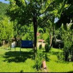 Kirayə (günlük) 3 otaqlı Həyət evi/villa Qəbələ 16