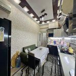 Продажа 5 комнатная Новостройка, м. Мемар Аджеми метро, 4-ый микрорайон, Насими район 12