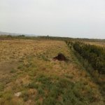 Satılır Torpaq, Fatmayi, Abşeron rayonu 2