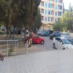Satılır 3 otaqlı Yeni Tikili, Memar Əcəmi metrosu, 3-cü mikrorayon, Nəsimi rayonu 4