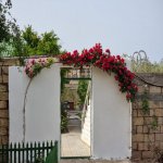 Satılır 5 otaqlı Həyət evi/villa, Sabunçu rayonu 12