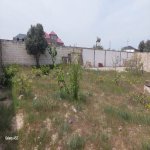 Satılır Torpaq, Novxanı, Abşeron rayonu 5