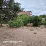 Satılır 2 otaqlı Bağ evi, Fatmayi, Abşeron rayonu 4
