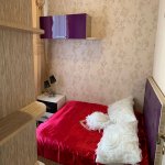 Kirayə (aylıq) 2 otaqlı Yeni Tikili, Qara Qarayev metrosu, Nizami rayonu 4