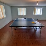 Kirayə (günlük) 4 otaqlı Həyət evi/villa Şəki 10