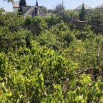 Satılır 4 otaqlı Həyət evi/villa, Qobustan qəs., Qaradağ rayonu 2