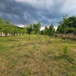 Satılır Torpaq Qəbələ 6