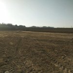 Satılır Torpaq, Koroğlu metrosu, Pirşağı qəs., Sabunçu rayonu 4